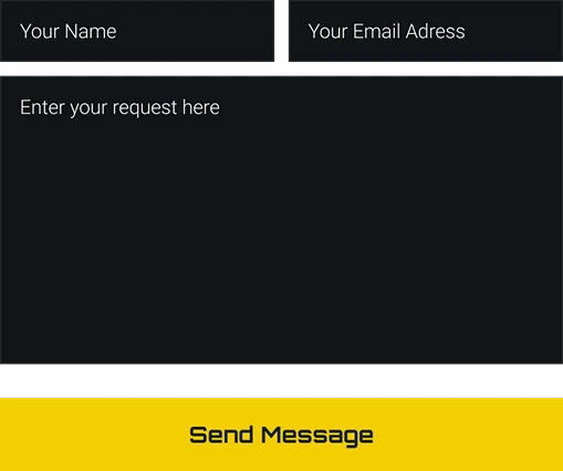Elon Musk Casino Support